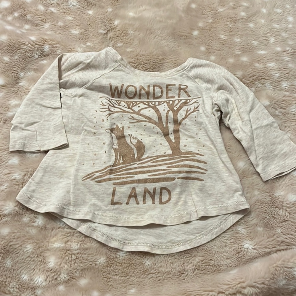 Old Navy 3T Fox Wonder Land graphic t-shirt